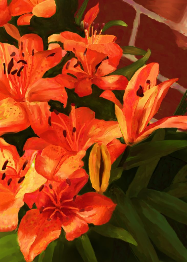 lillies2
