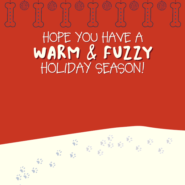 Animated digital holiday card to be sent in email blast.