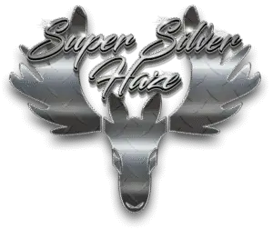 SilerHzeDiamind-768x646